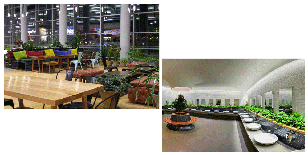 مجتمع مهر و ماه | خرید سوهان ساعدی نیا در مهر و ماه